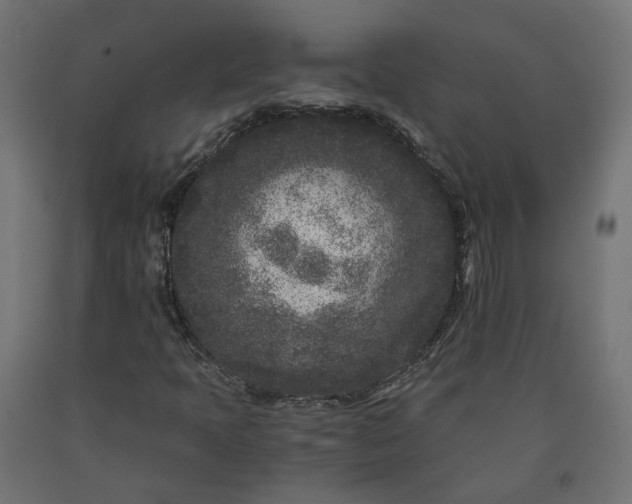 X0000090721397200708031450