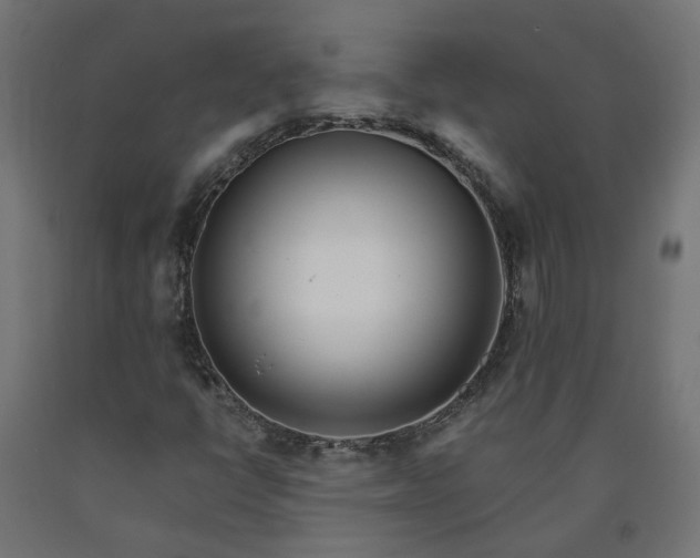 X0000090721398200708031450