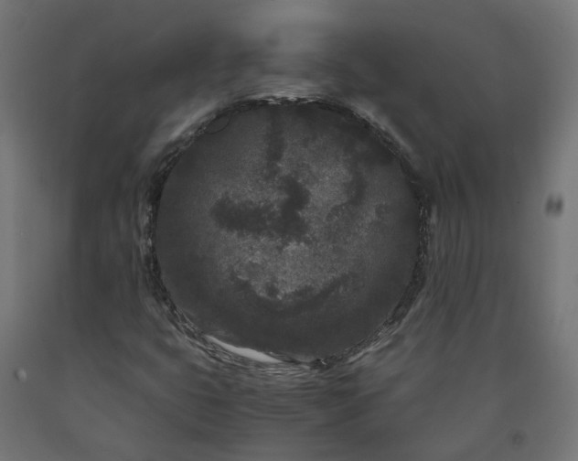 X0000090721399200708031450