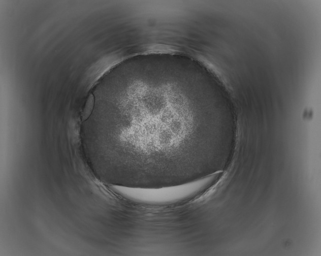 X0000090721401200708031450