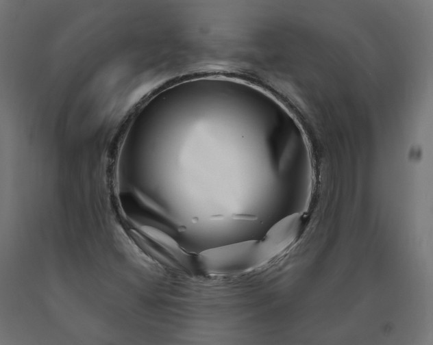 X0000090721404200708031450