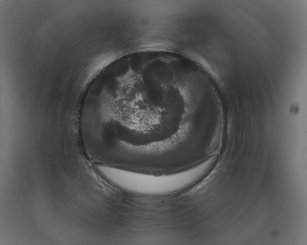 X0000090721405200708031450