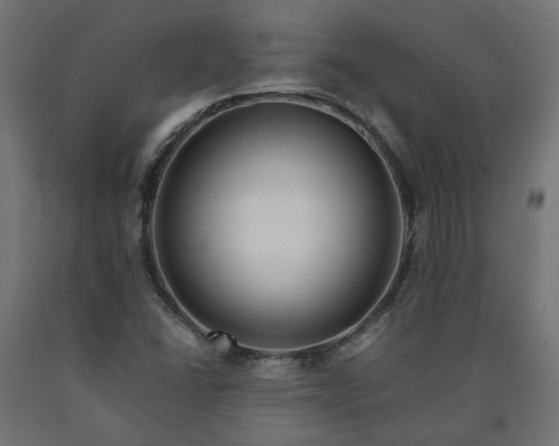 X0000090721406200708031450