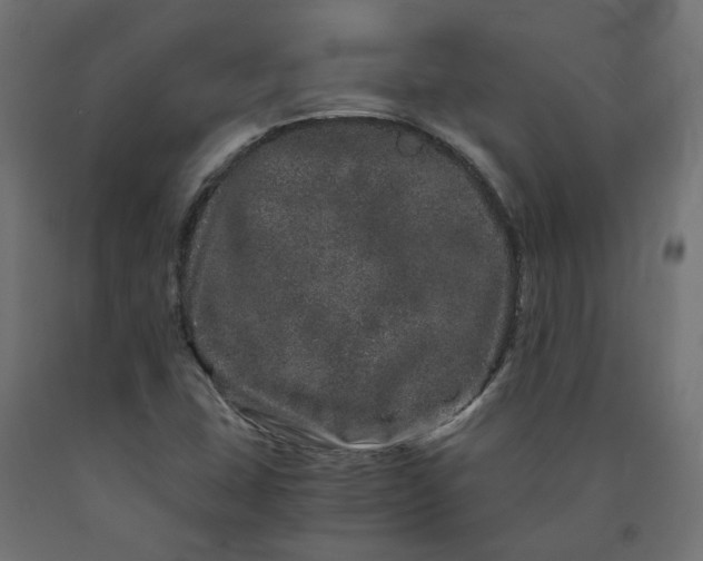X0000090721407200708031450