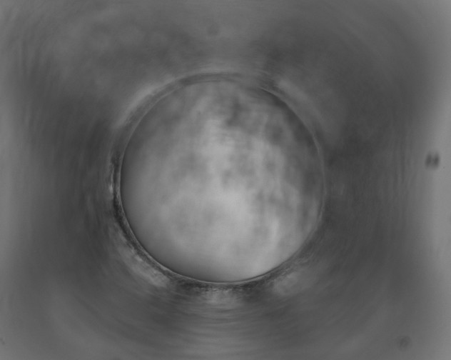 X0000090721408200708031450