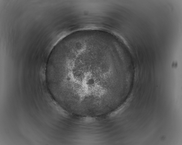 X0000090721409200708031450