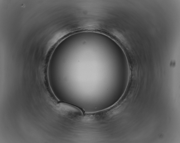X0000090721410200708031450