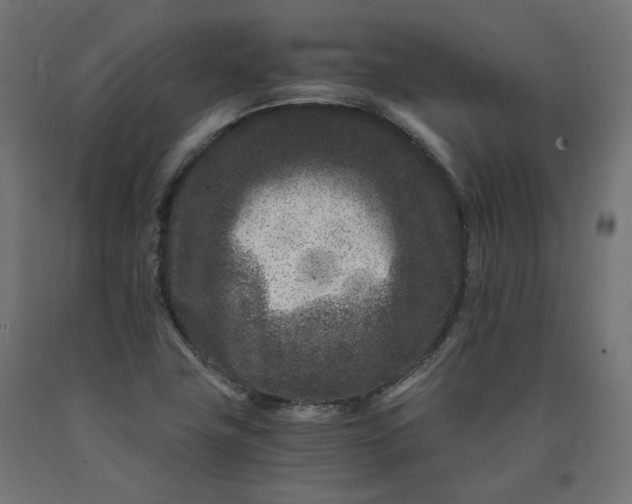 X0000090721411200708031450