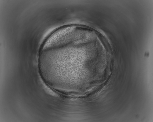 X0000090721416200708031450