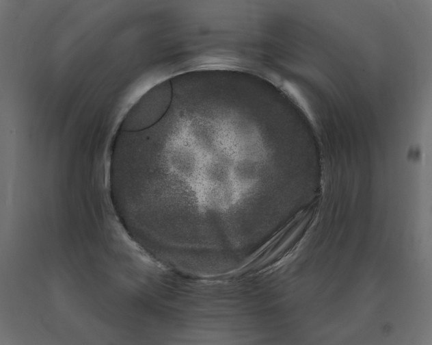 X0000090721419200708031451