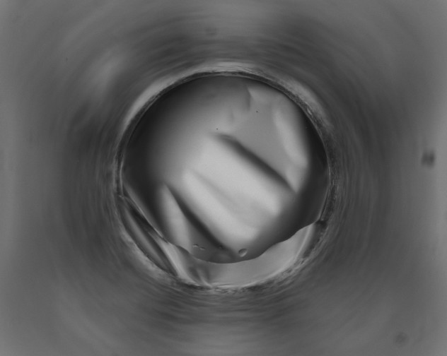 X0000090721420200708031451