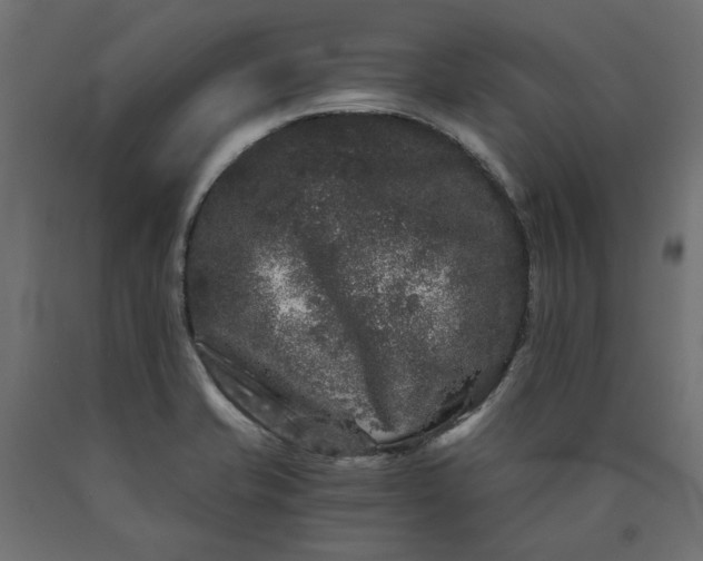 X0000090721421200708031451