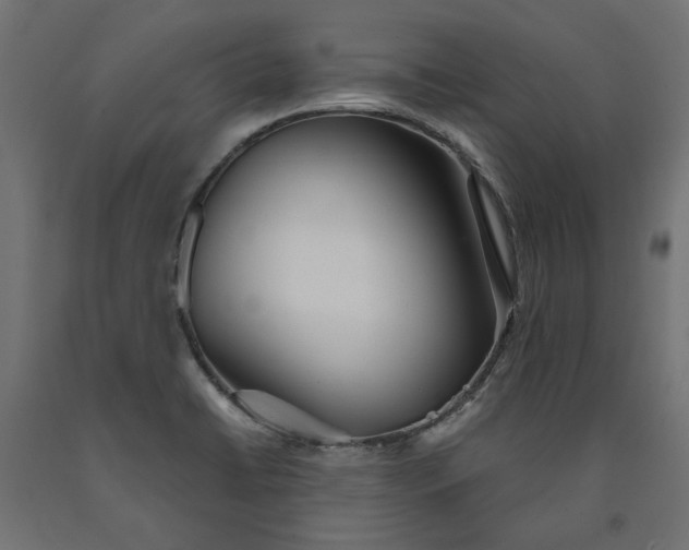 X0000090721422200708031451