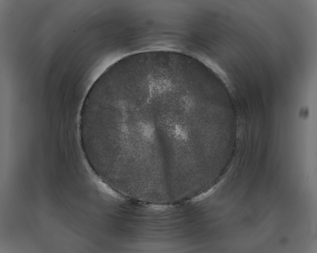 X0000090721423200708031451