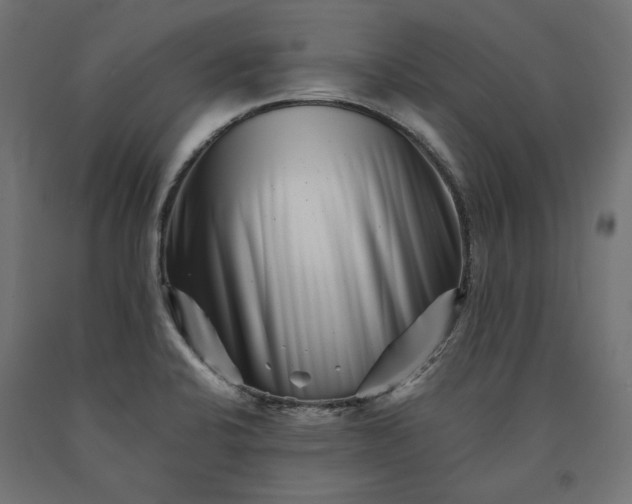 X0000090721424200708031451