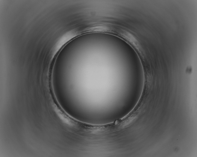 X0000090721426200708031451
