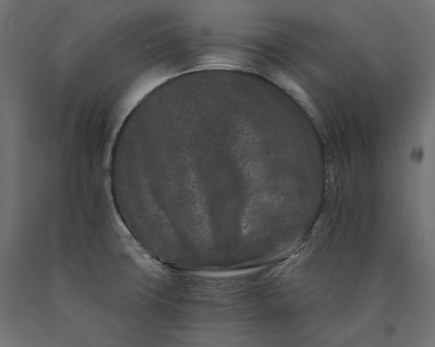 X0000090721427200708031451