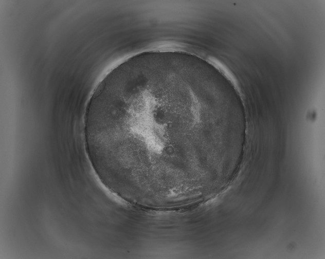 X0000090721429200708031451