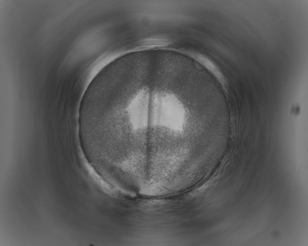 X0000090721431200708031451