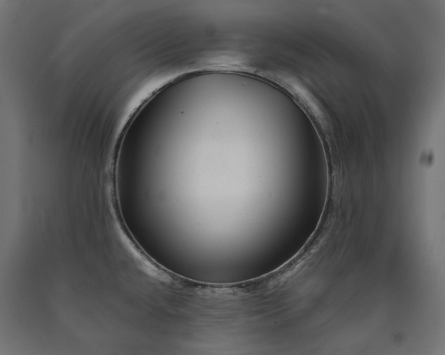 X0000090721432200708031451