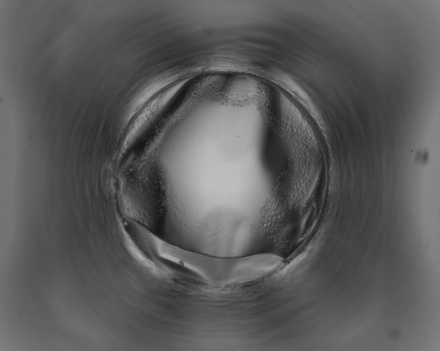 X0000090721433200708031451