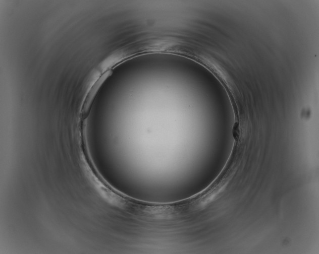 X0000090721434200708031451