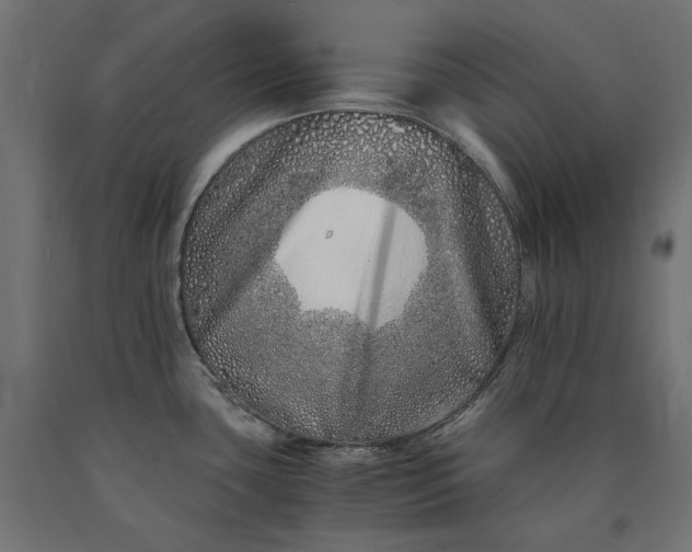 X0000090721435200708031451