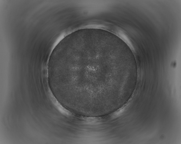 X0000090721436200708031451