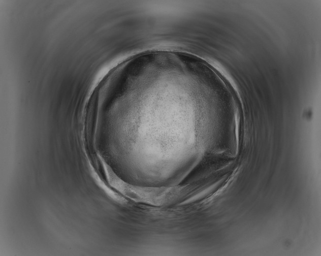 X0000090721437200708031451