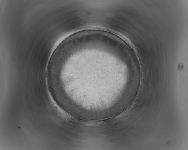 X0000090721440200708031451