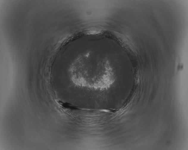 X0000090721441200708031450