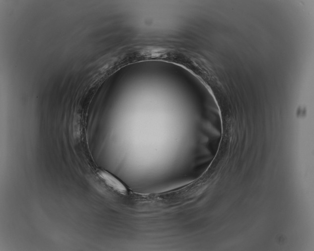 X0000090721442200708031450