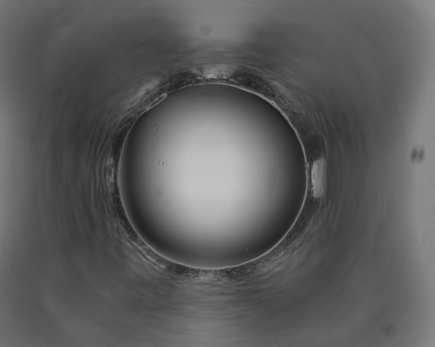 X0000090721443200708031450
