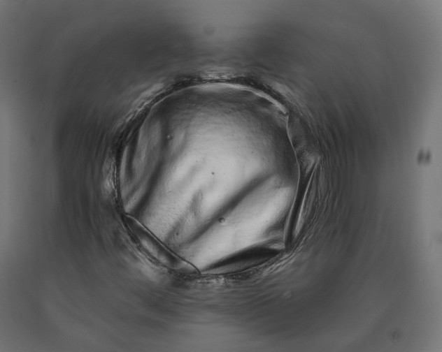 X0000090721444200708031450