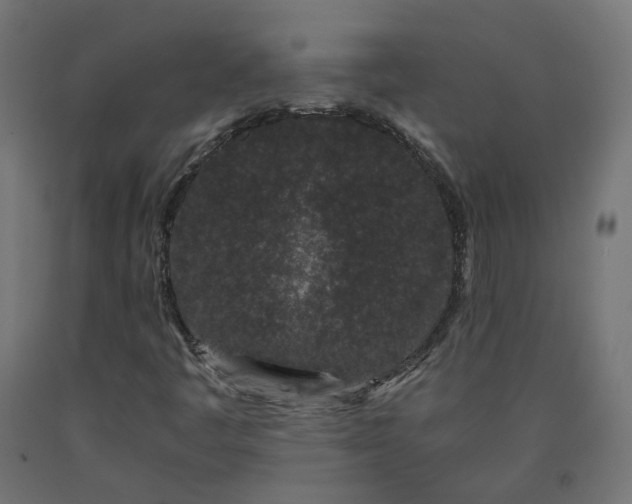 X0000090721445200708031450