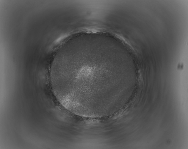 X0000090721446200708031450