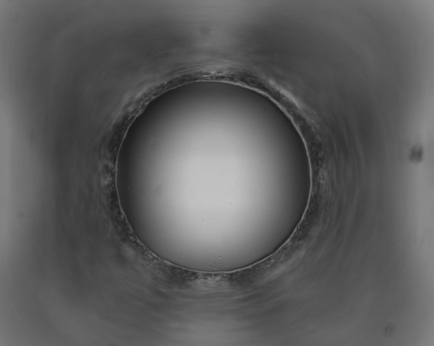 X0000090721447200708031450
