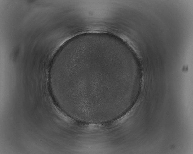 X0000090721449200708031450