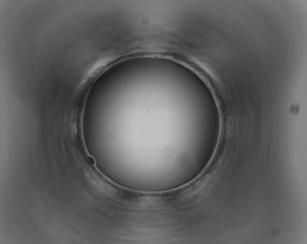 X0000090721451200708031450