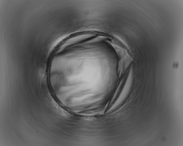 X0000090721452200708031450