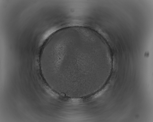 X0000090721453200708031450