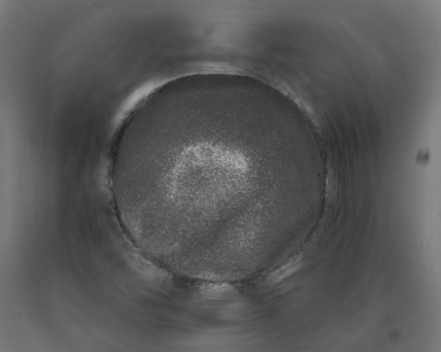 X0000090721454200708031450