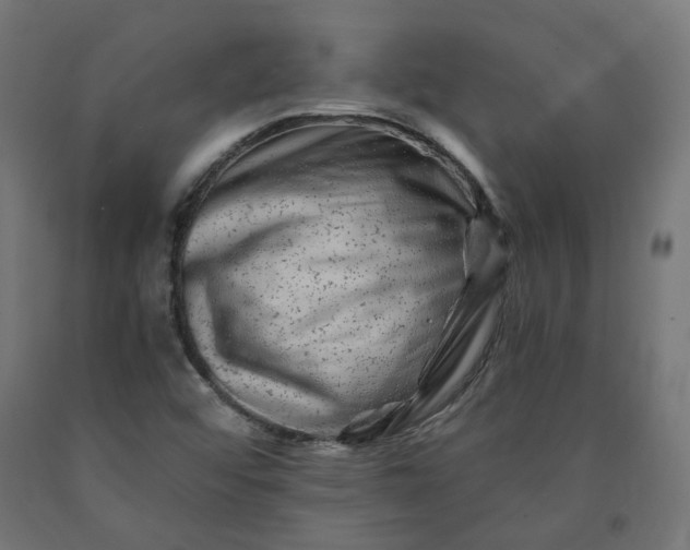 X0000090721456200708031450