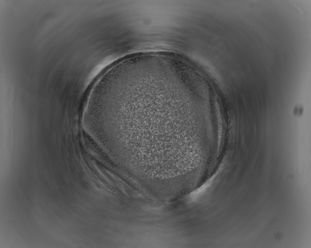 X0000090721457200708031450