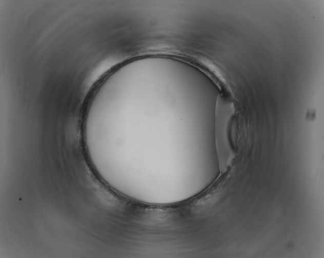 X0000090721458200708031450
