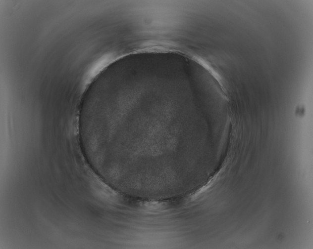 X0000090721459200708031450