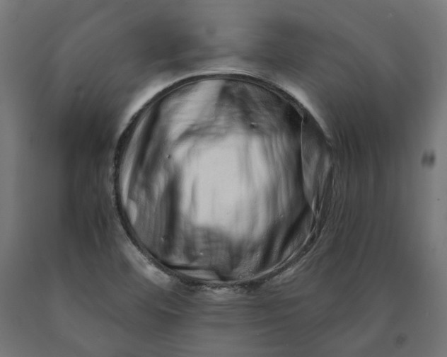X0000090721460200708031450