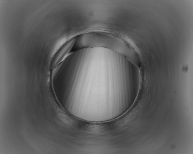 X0000090721461200708031450