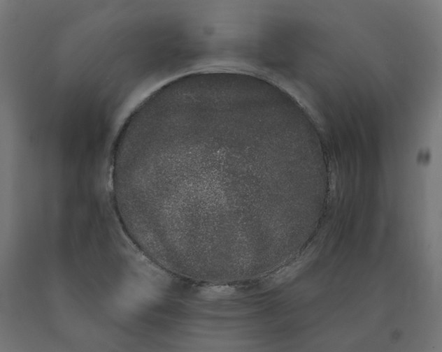 X0000090721462200708031450
