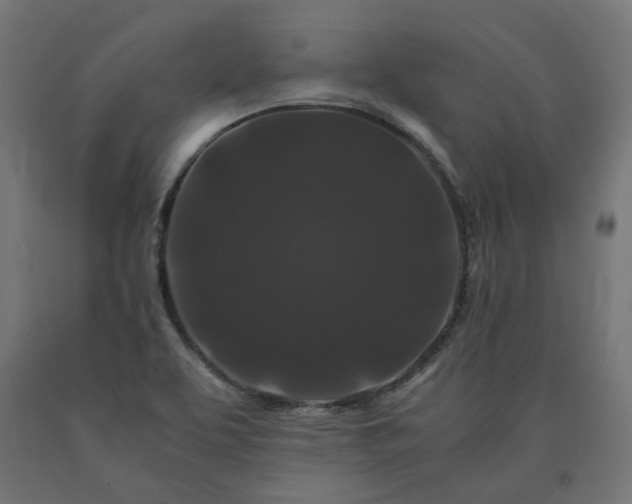 X0000090721463200708031450
